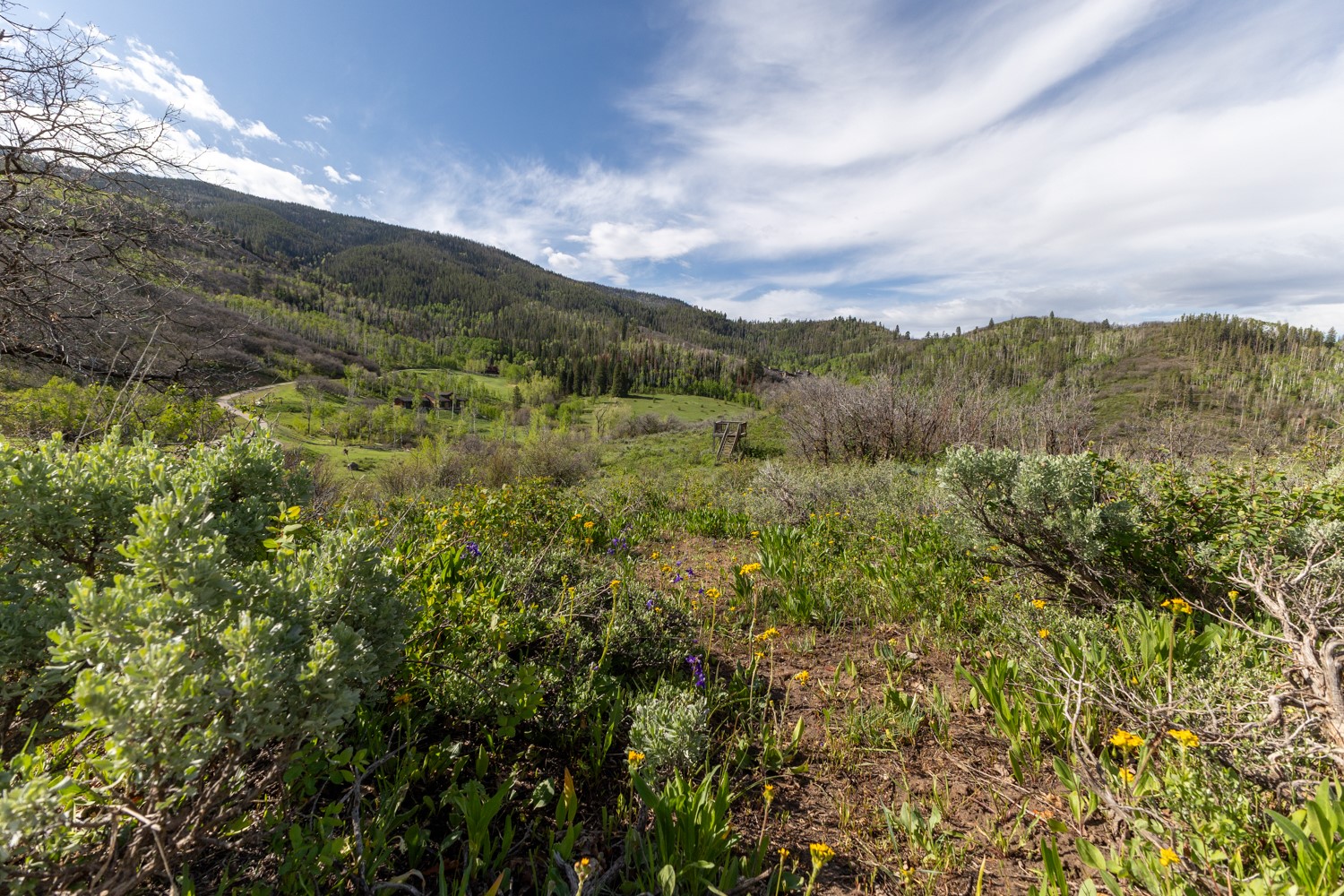 33655 Lone Pine Trail Property Photo 21