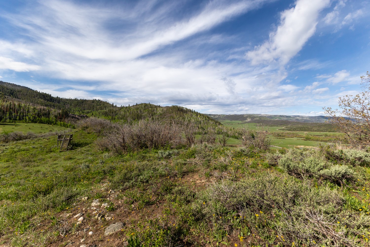 33655 Lone Pine Trail Property Photo 22