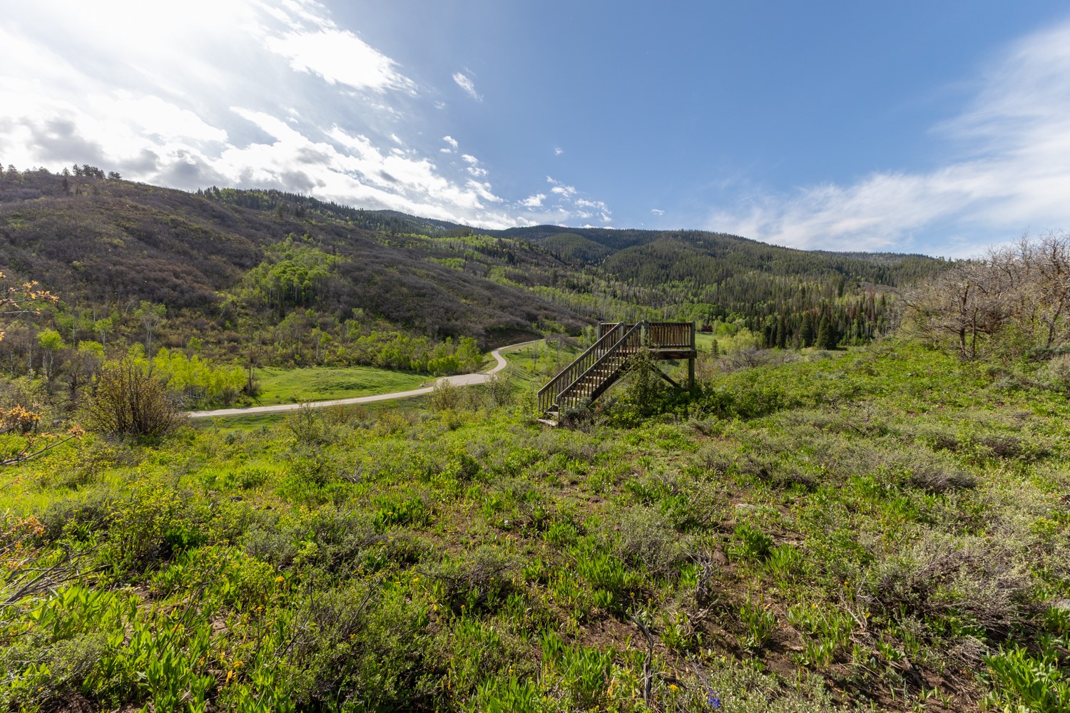 33655 Lone Pine Trail Property Photo 24
