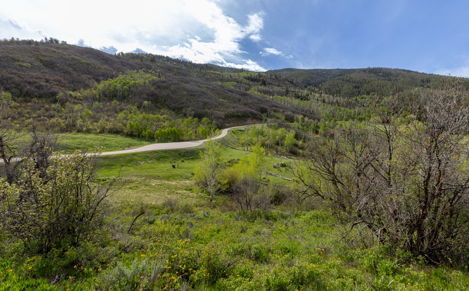 33655 Lone Pine Trail Property Photo 26