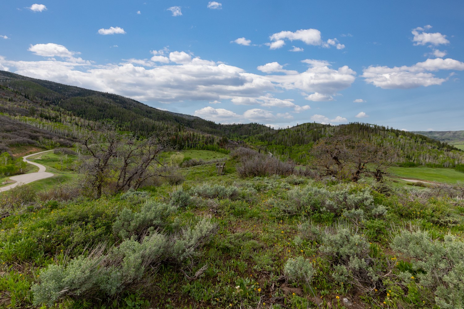 33655 Lone Pine Trail Property Photo 28