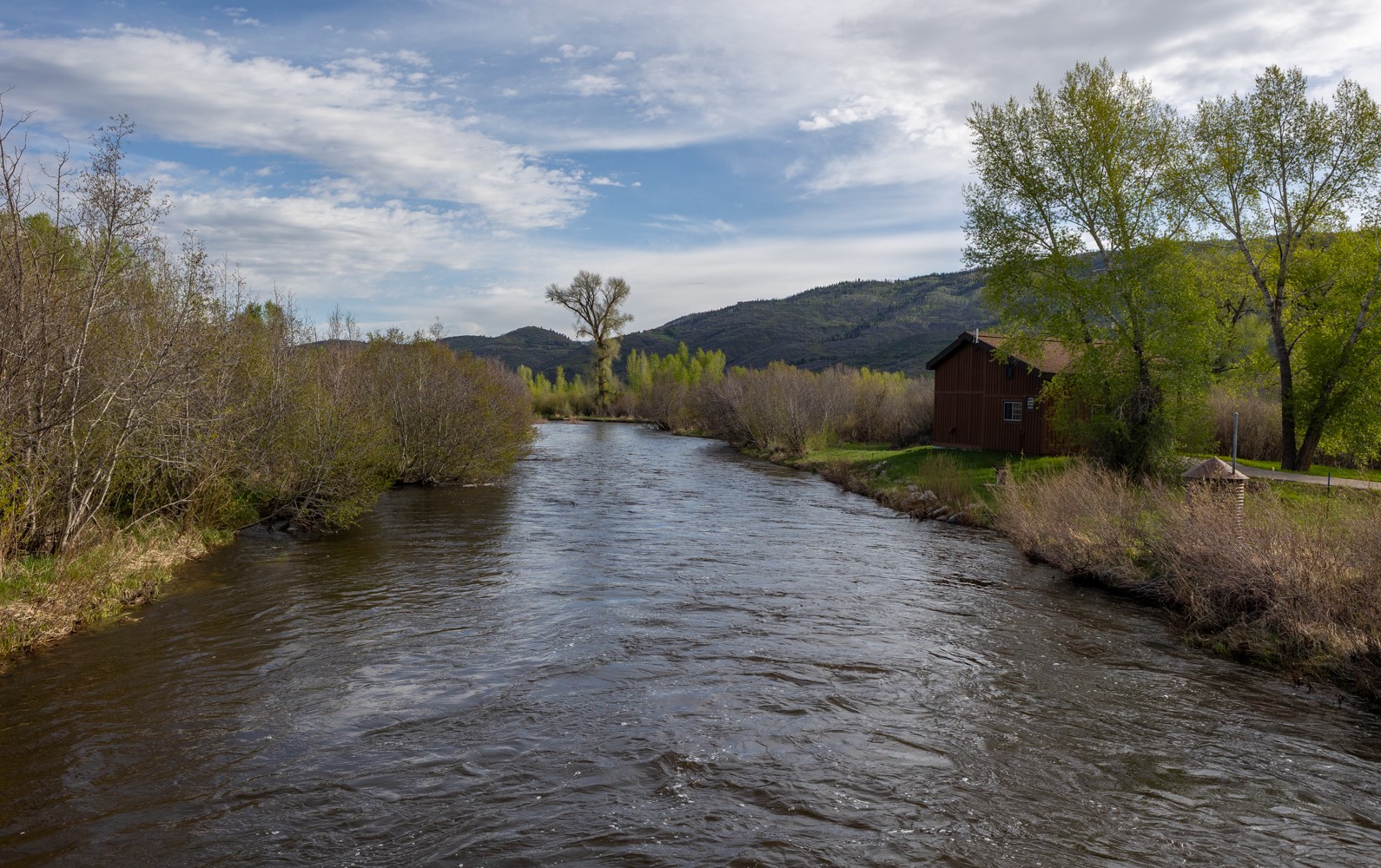 33655 Lone Pine Trail Property Photo 29