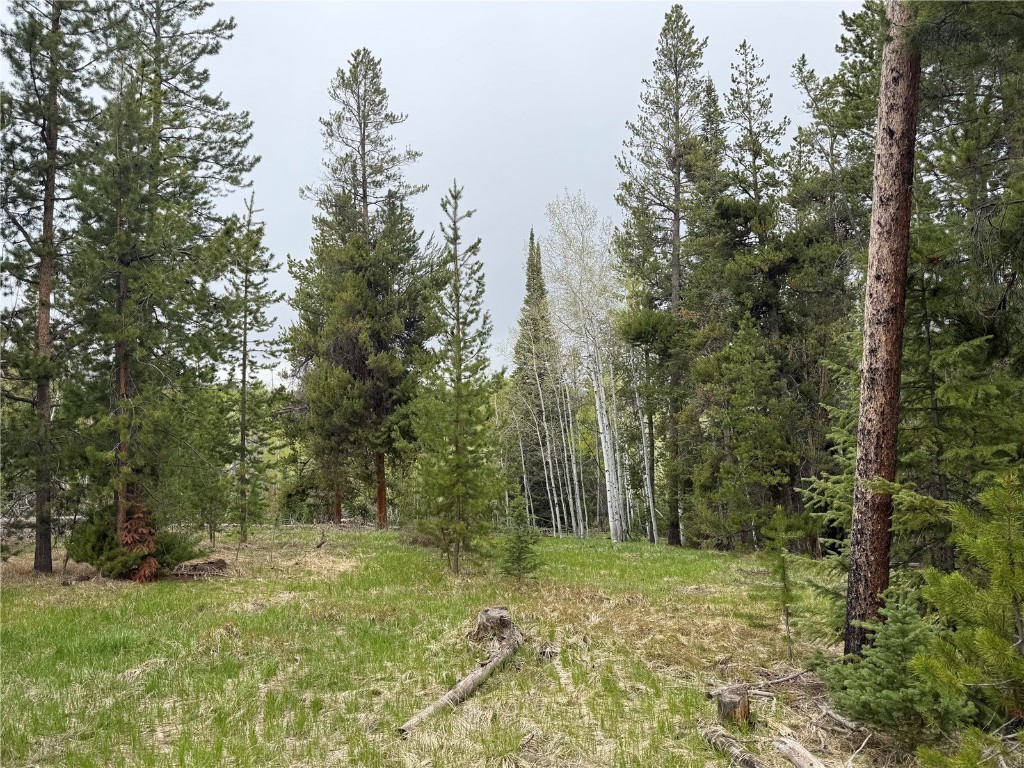 33435 Filly Trail Property Photo