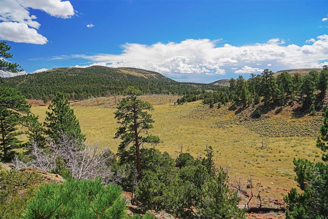 Tbd County Road 10 Property Photo 1