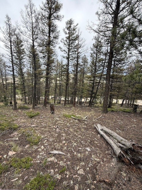 2689 Redhill Road Property Photo 1