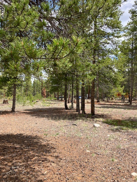 493 & 511 Spruce Drive Property Photo