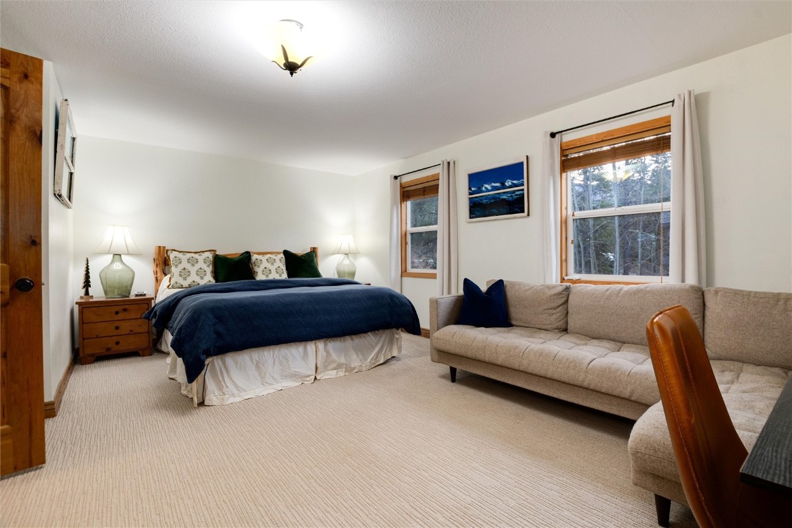 384 Blue Ridge Road Property Photo 17