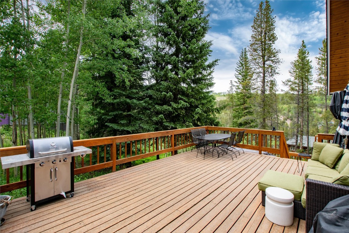 384 Blue Ridge Road Property Photo 29