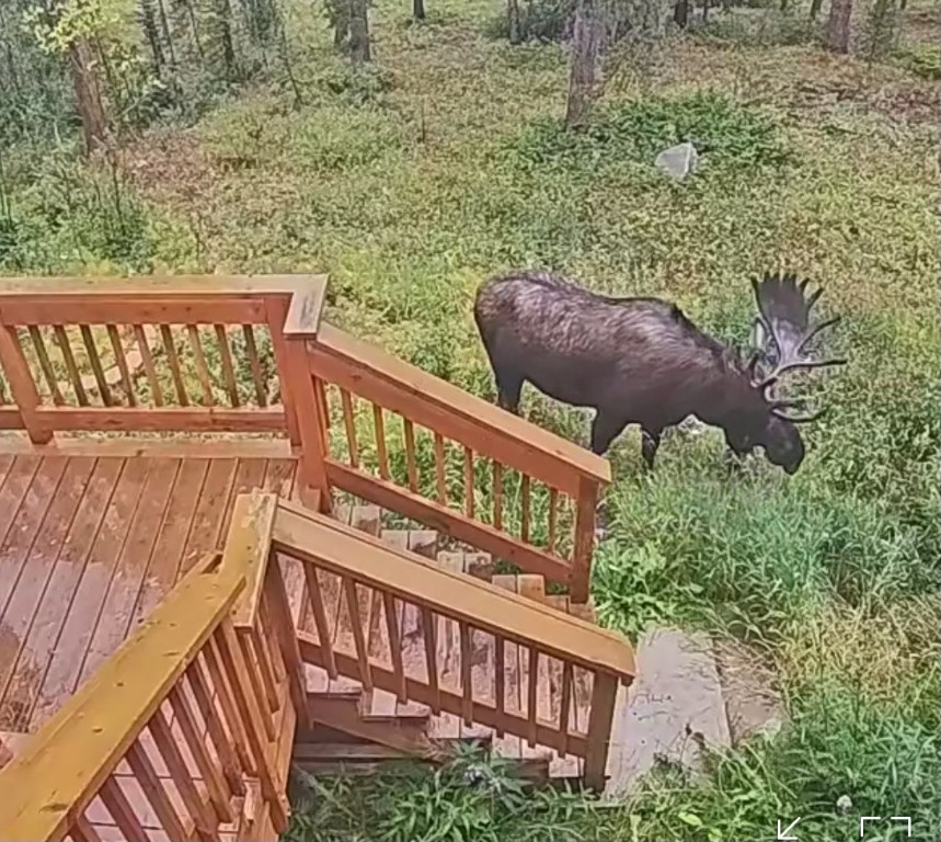 384 Blue Ridge Road Property Photo 39