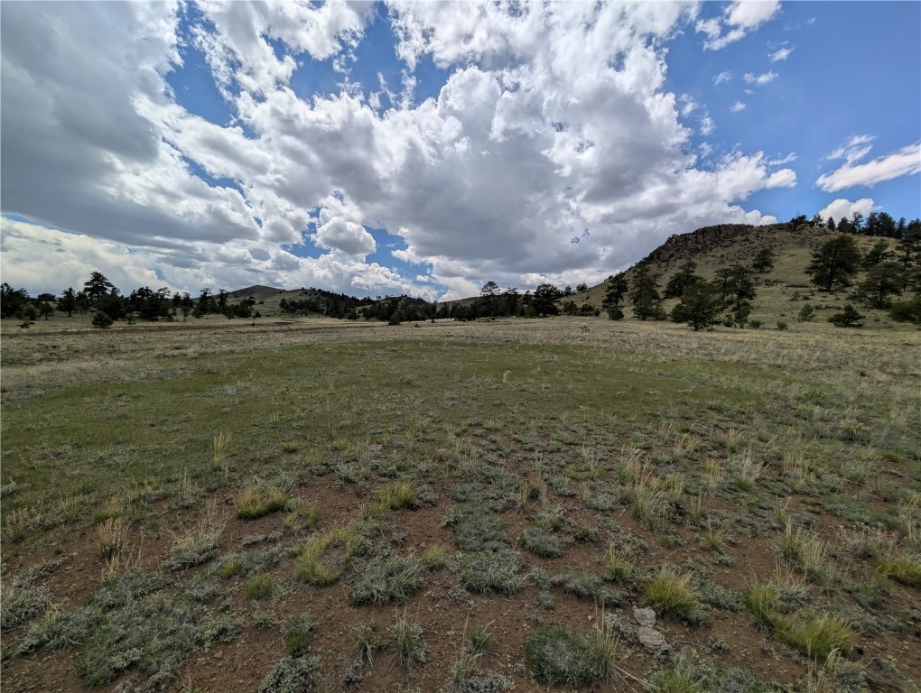 0 Black Beaver/keechi Road Property Photo 1