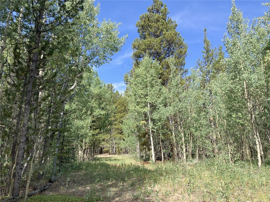 89 Ski Doo Road Property Photo