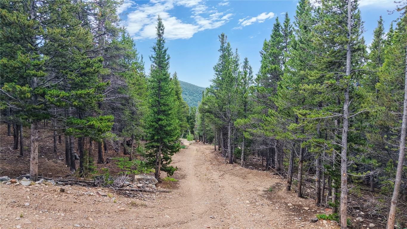 274 Lincoln Drive Property Photo 5