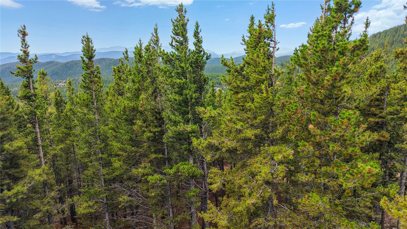 274 Lincoln Drive Property Photo 7