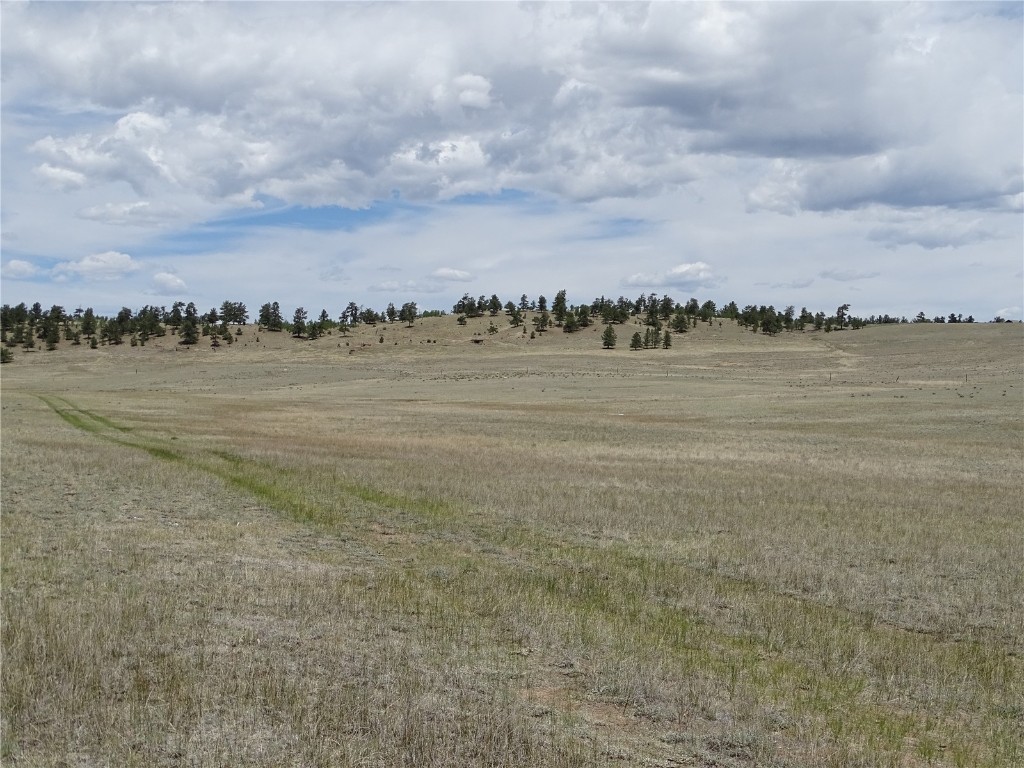 9164 Cr-15 Property Photo 31