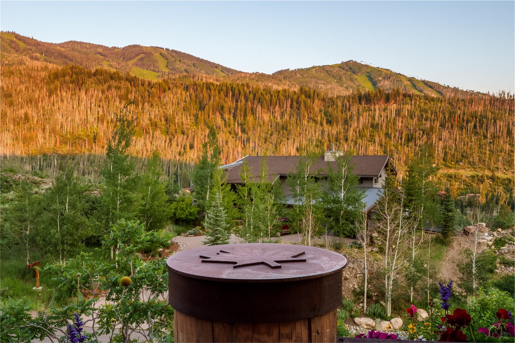 2990 Heavenly View Property Photo 20