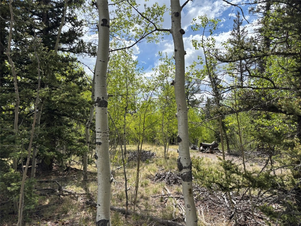 514 Chief Trail Property Photo 1