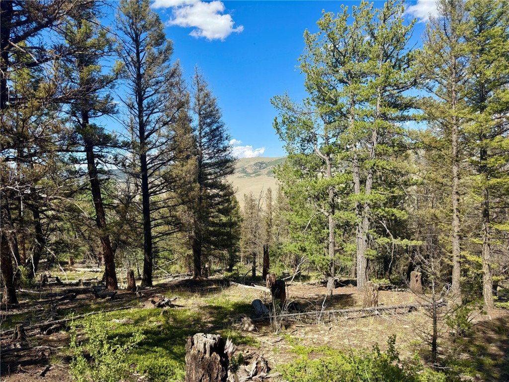 Lot 223 Middle Fork Vista Property Photo 1