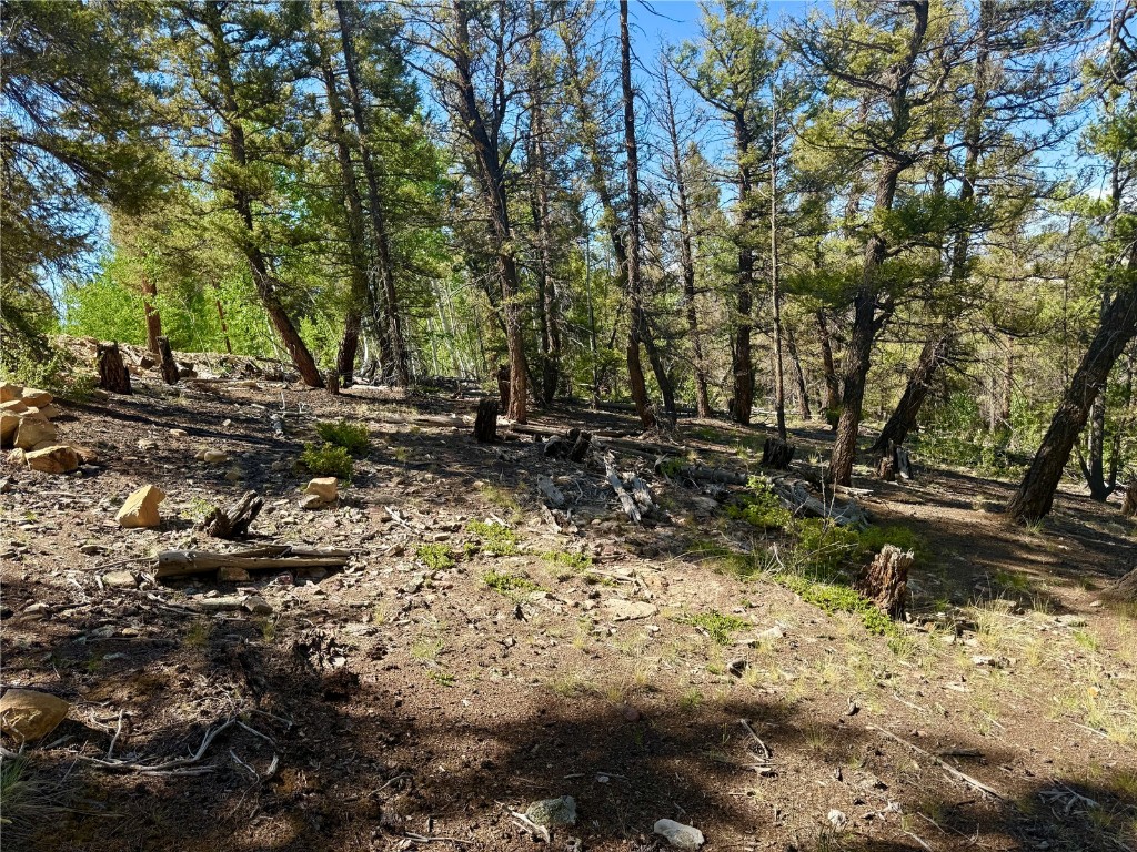 Lot 223 Middle Fork Vista Property Photo 2