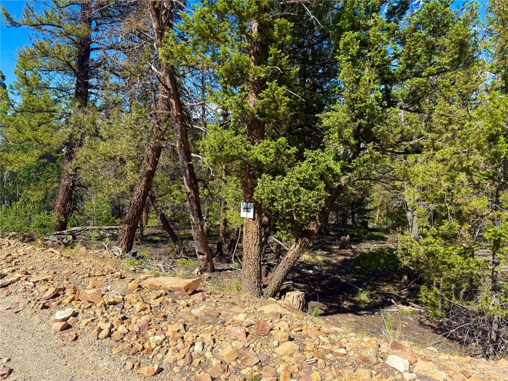 Lot 223 Middle Fork Vista Property Photo 4