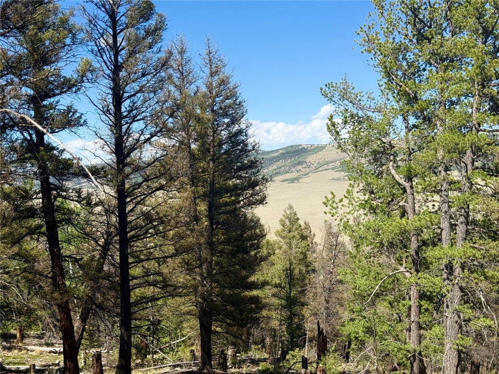 Lot 223 Middle Fork Vista Property Photo 5