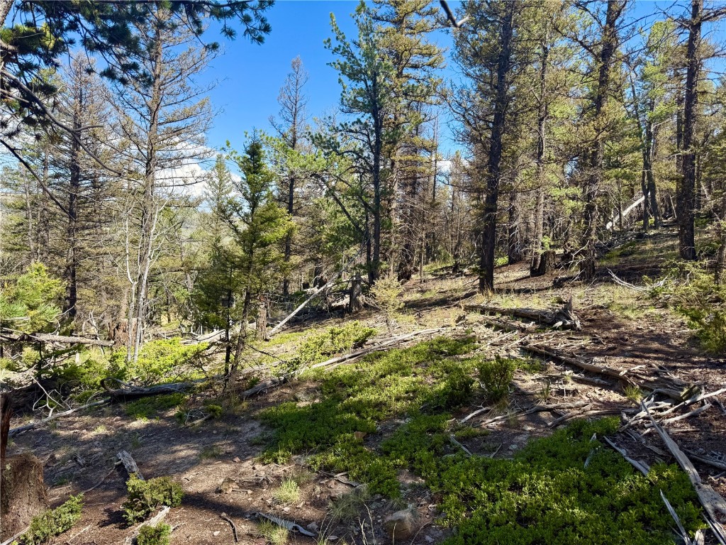 Lot 223 Middle Fork Vista Property Photo 6