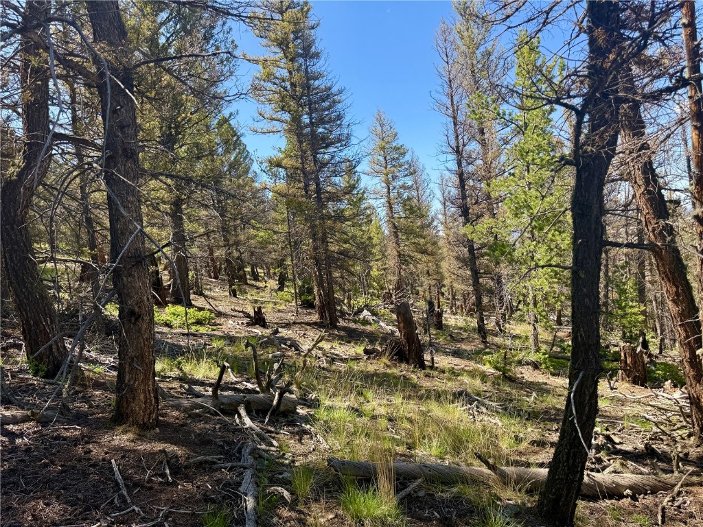 Lot 223 Middle Fork Vista Property Photo 8