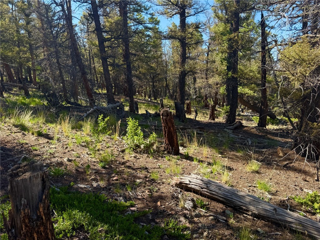 Lot 223 Middle Fork Vista Property Photo 9