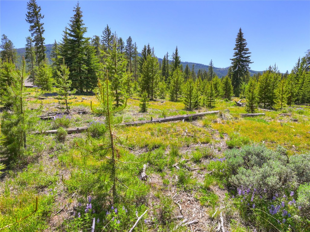 840 Penstemon Road Property Photo 45