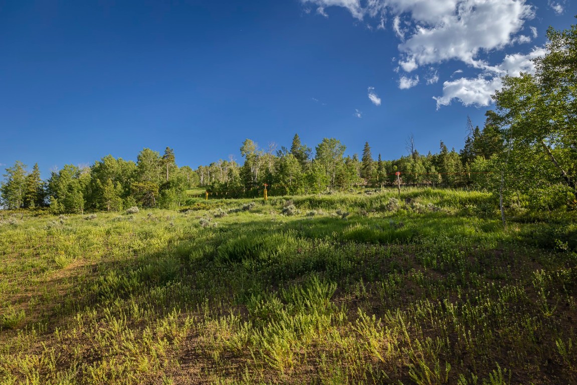 142 Saddle Mountain Camp Road 142 Property Photo 40