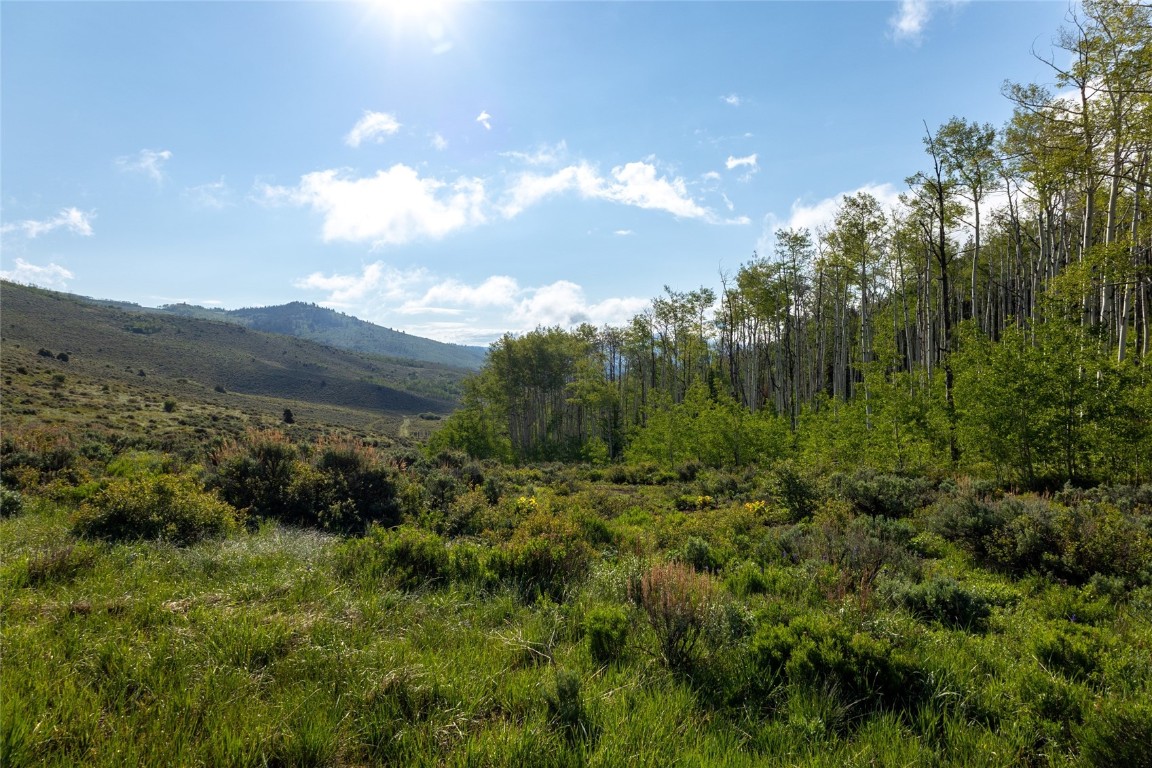 8034 State Highway 131 Property Photo 9