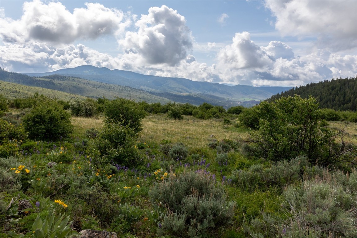 8034 State Highway 131 Property Photo 12