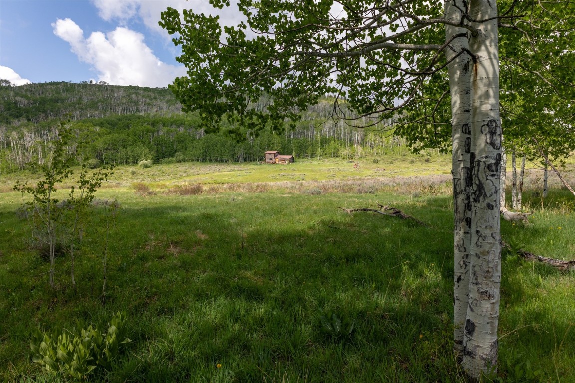 8034 State Highway 131 Property Photo 13