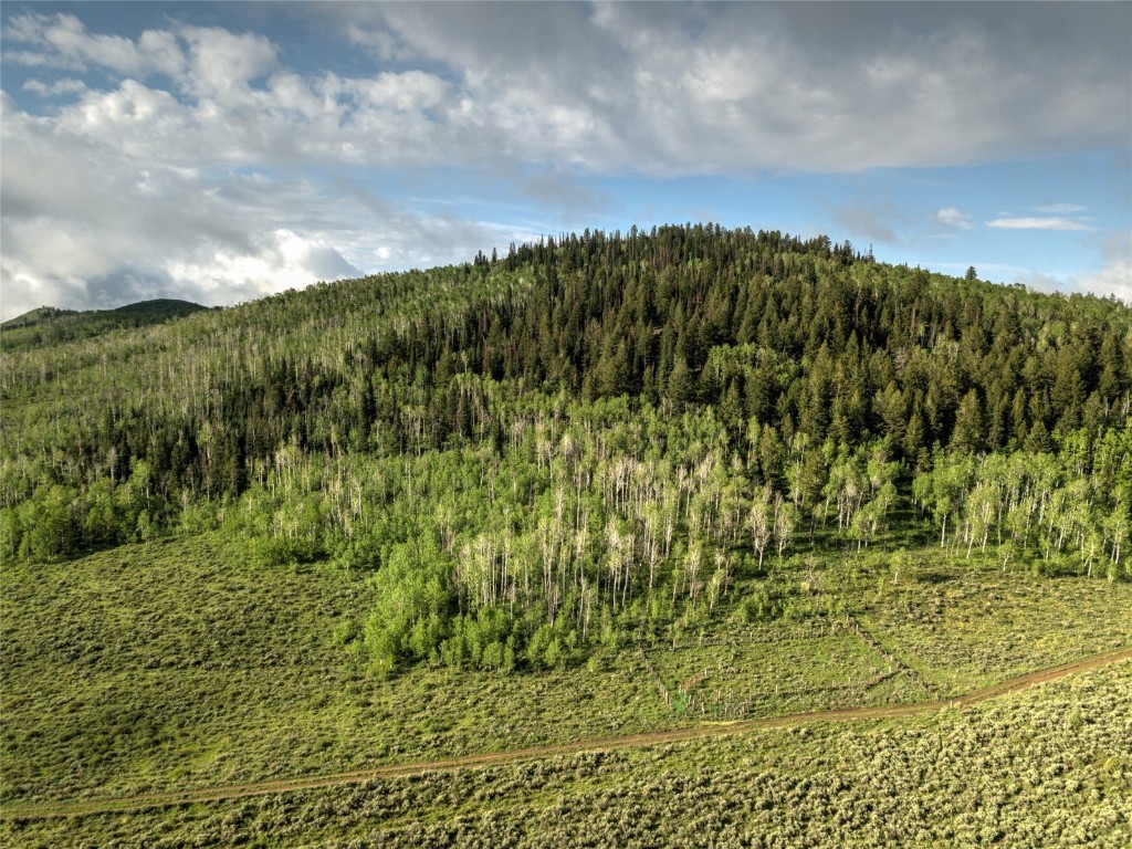 8034 State Highway 131 Property Photo 14