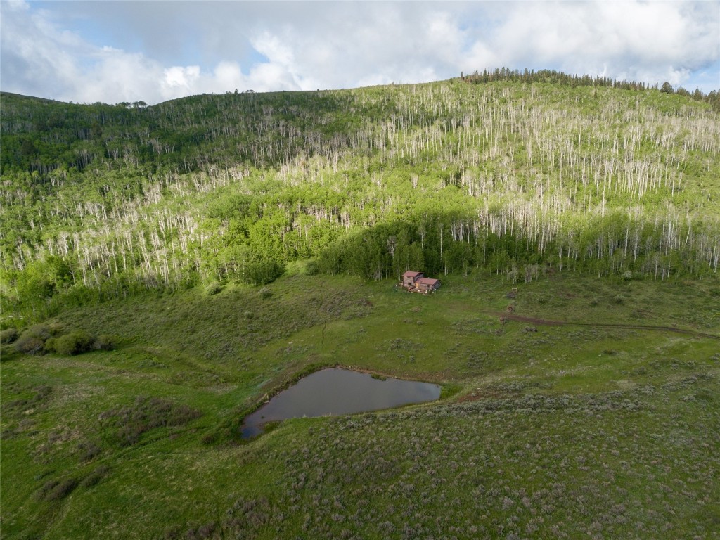 8034 State Highway 131 Property Photo 20