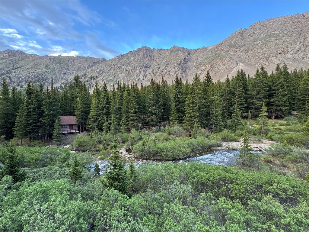 2885 Stevens Gulch ROAD