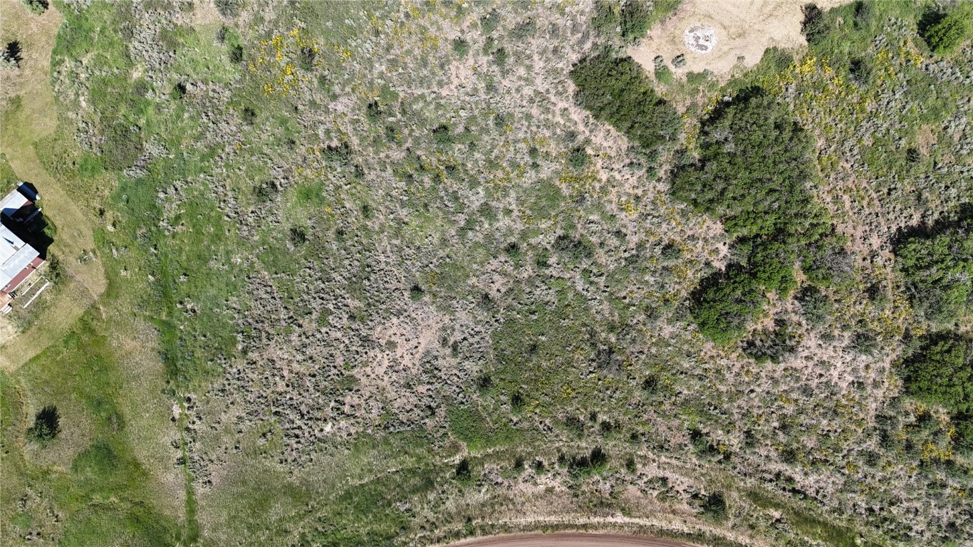 31185 Broken Talon Trail Property Photo 5