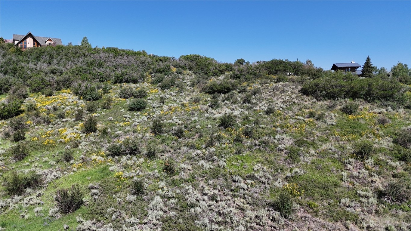 31185 Broken Talon Trail Property Photo 7