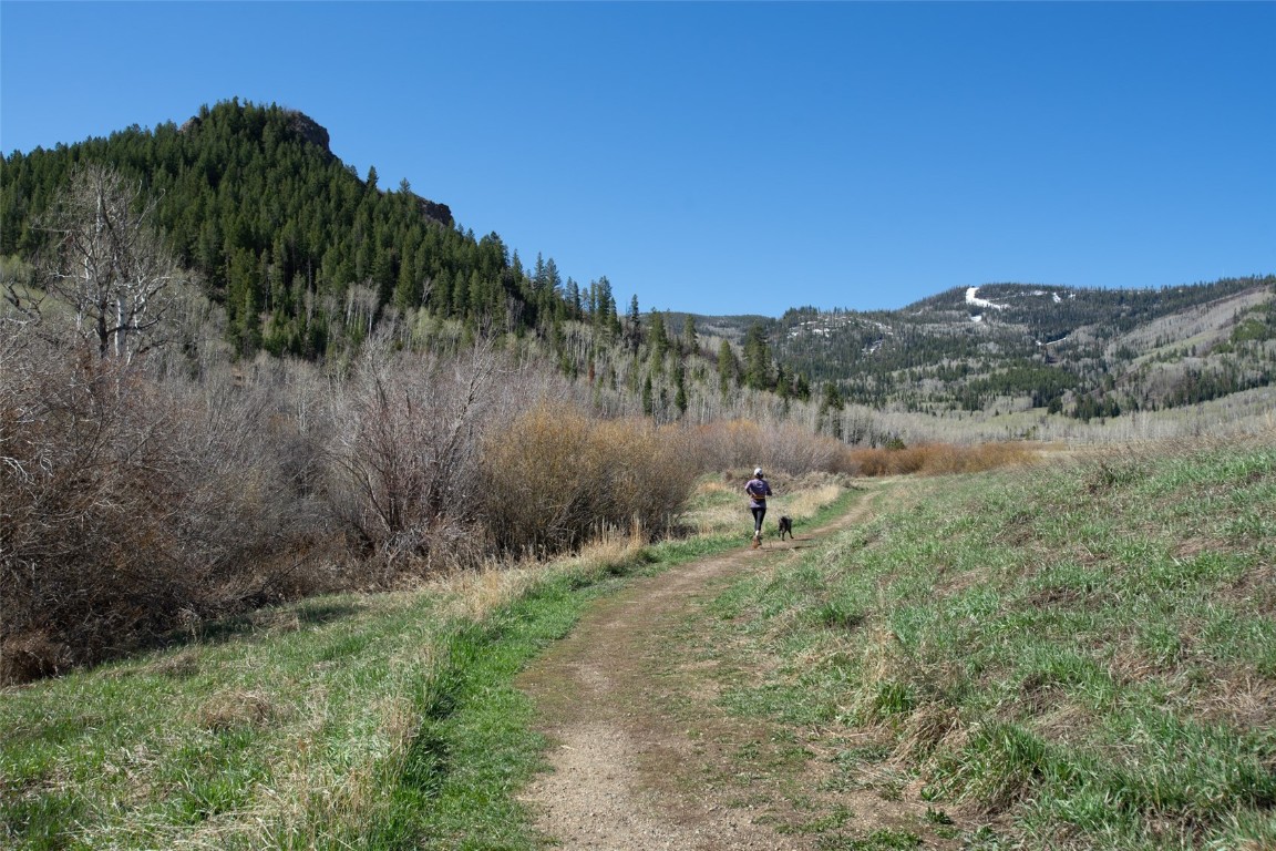 31185 Broken Talon Trail Property Photo 13