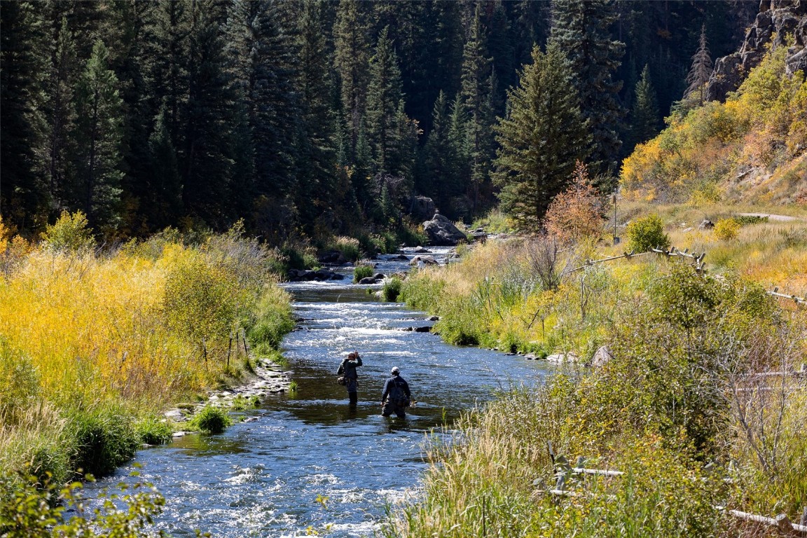 31185 Broken Talon Trail Property Photo 16