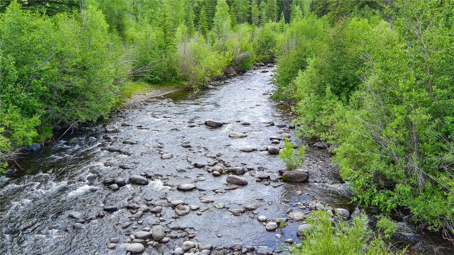 Tbd County Road 8 Property Photo 8