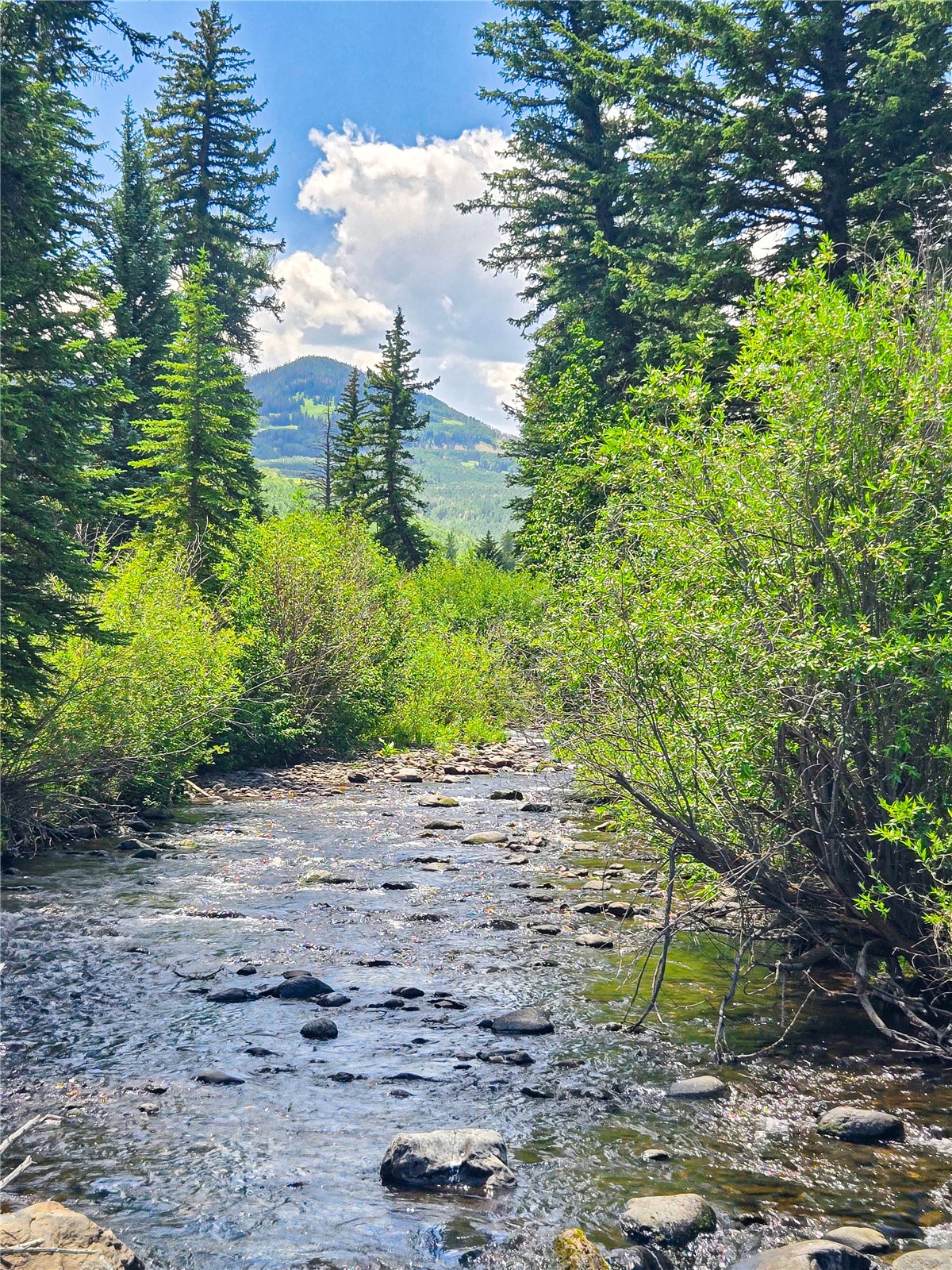 Tbd County Road 8 Property Photo 10