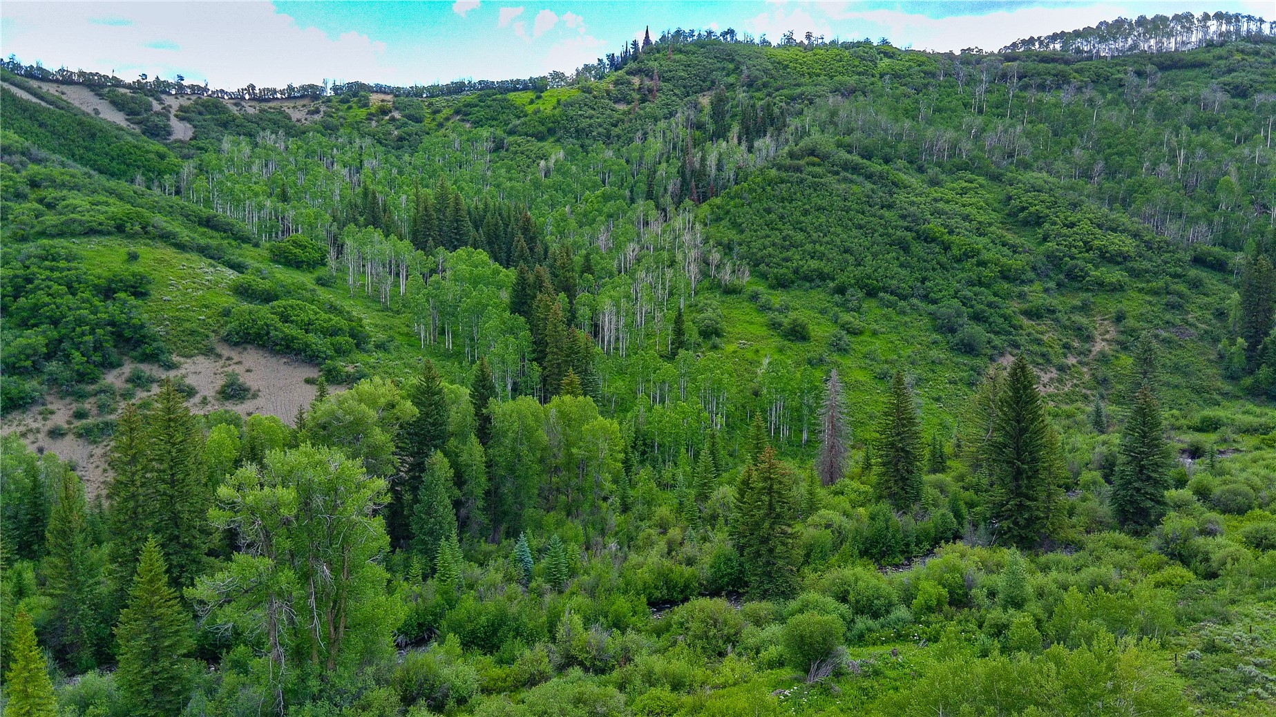 Tbd County Road 8 Property Photo 19