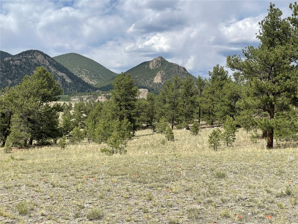 11809 Clear Creek Road Property Photo 1
