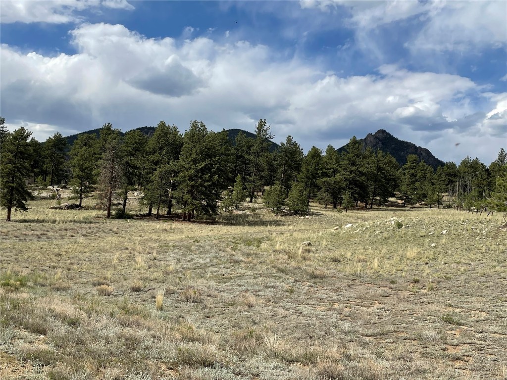 11993 Clear Creek Road Property Photo 1