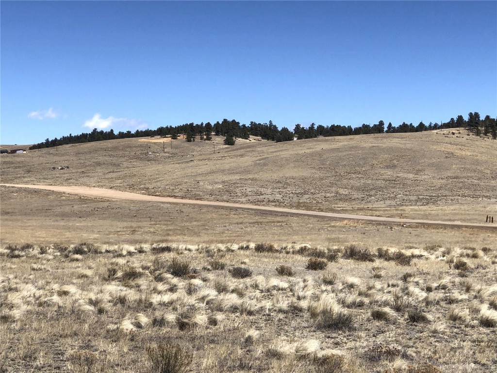 121 Commanche Trail Property Photo 1