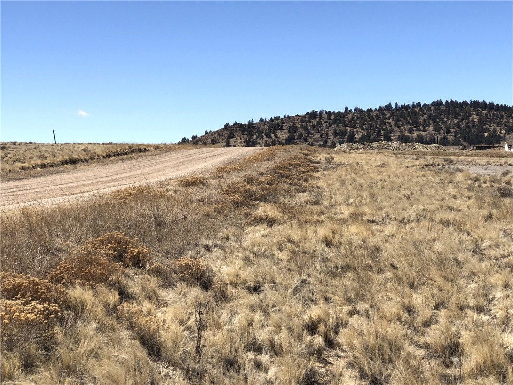121 Commanche Trail Property Photo 4