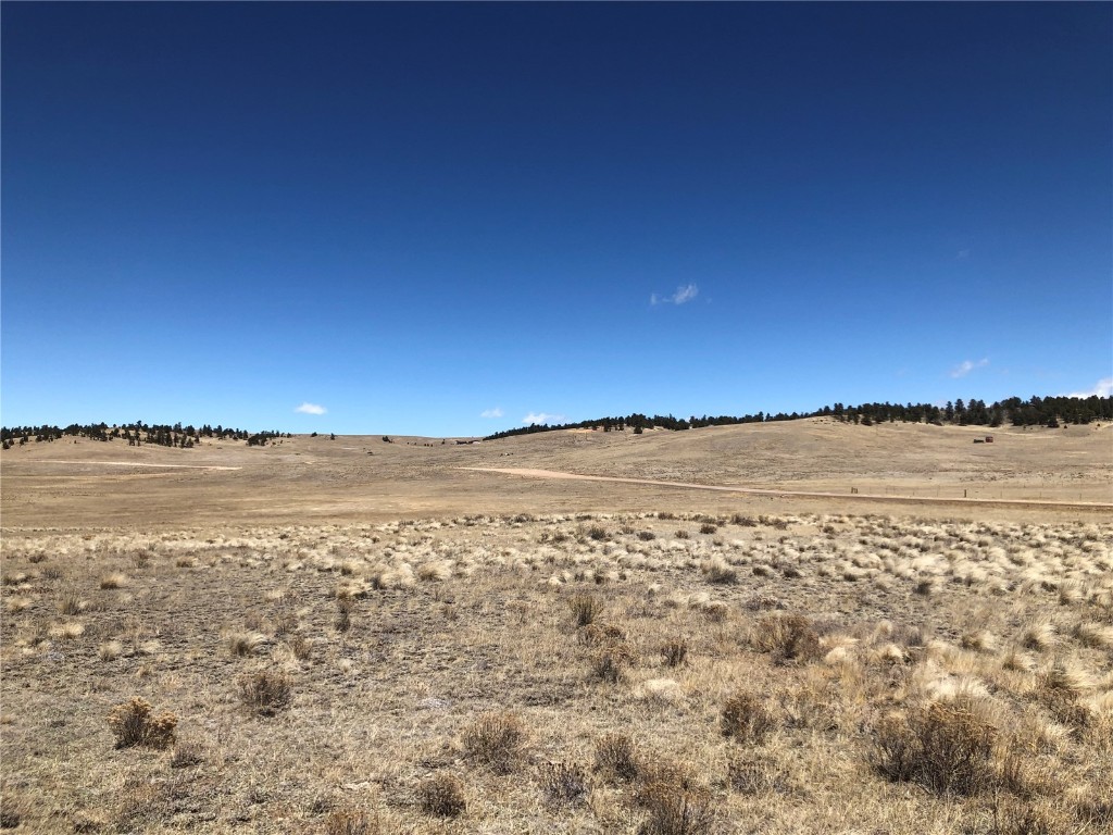 121 Commanche Trail Property Photo 12