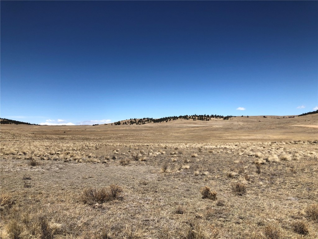 121 Commanche Trail Property Photo 13