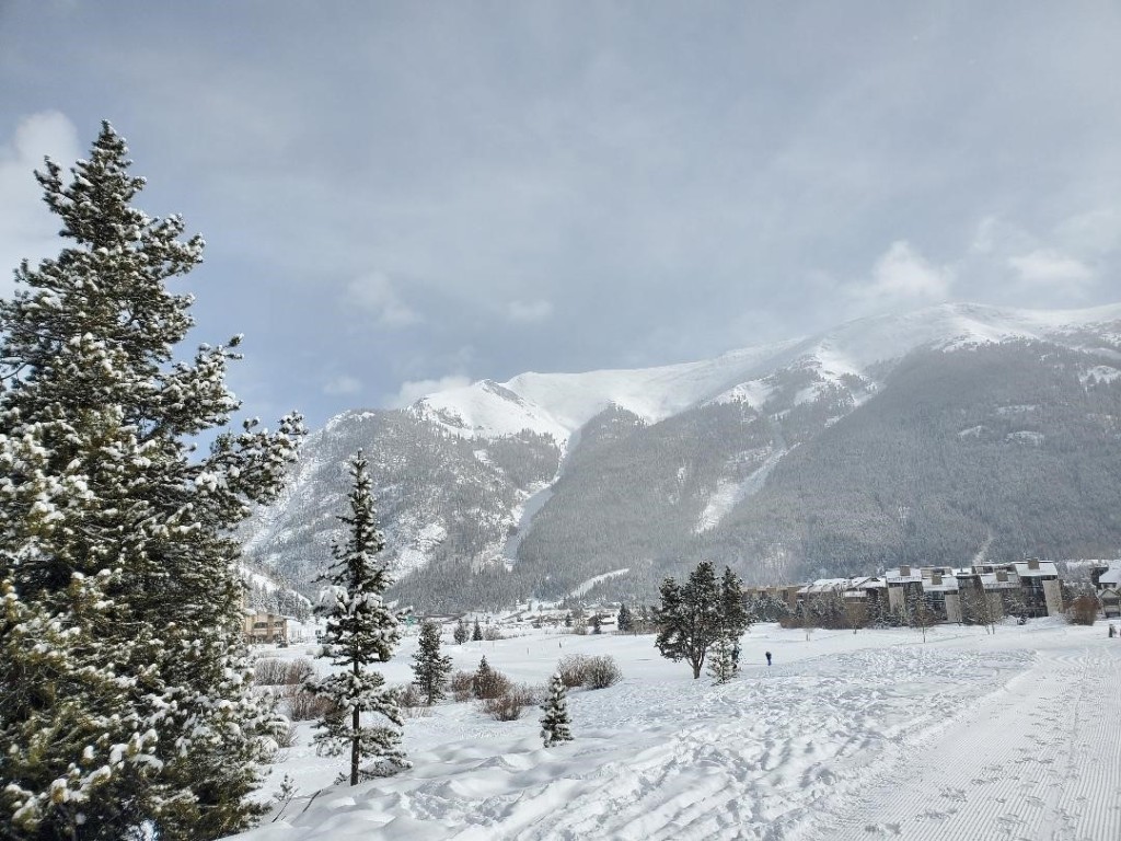 219 Wheeler Place 18 Property Photo 1