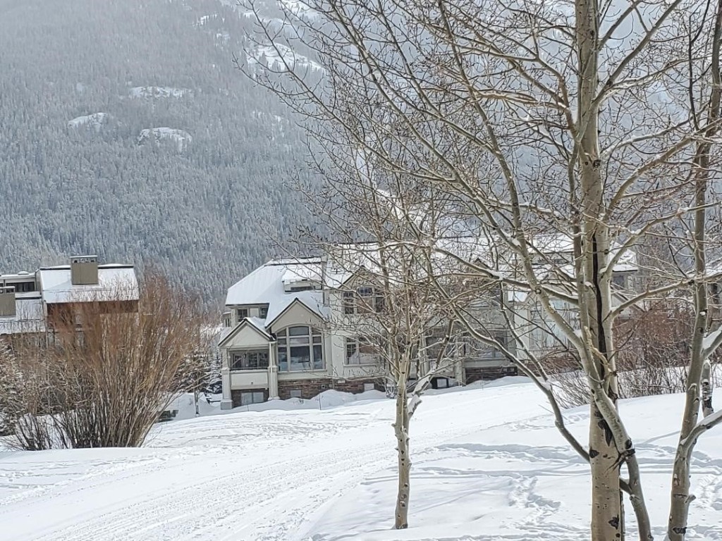 219 Wheeler Place 18 Property Photo 2